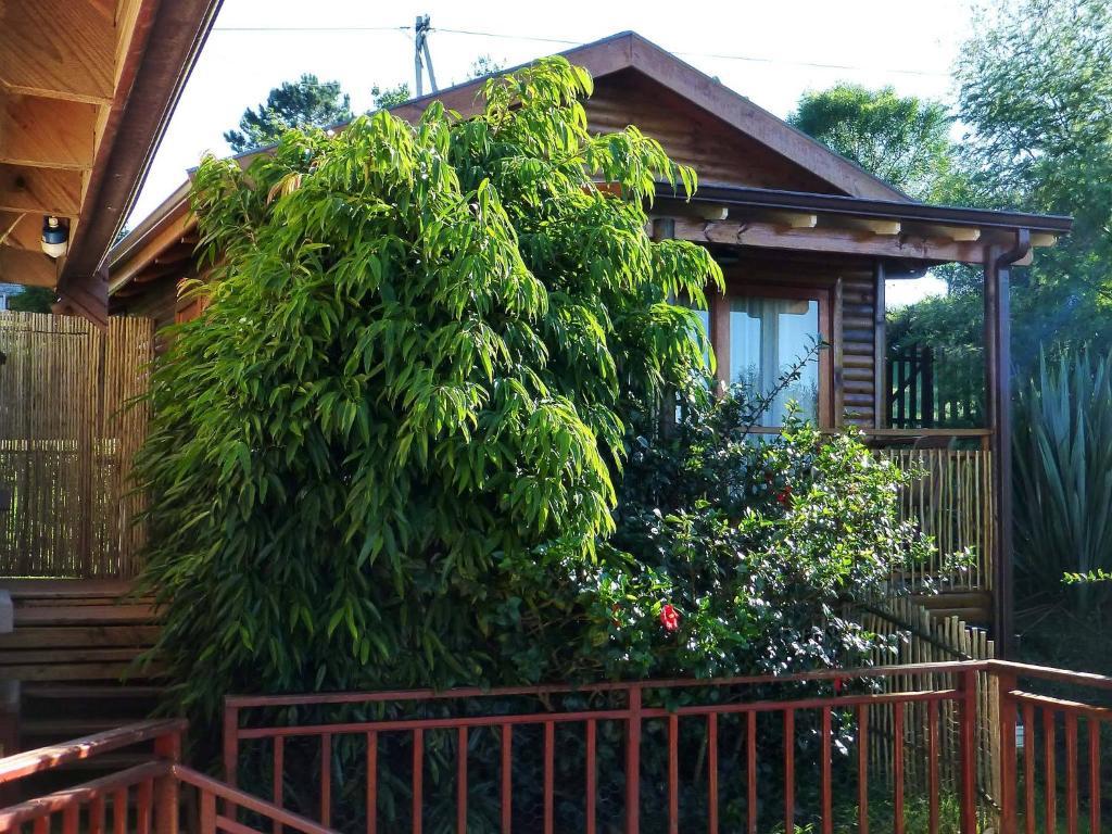 Panorama Lodge Knysna Room photo